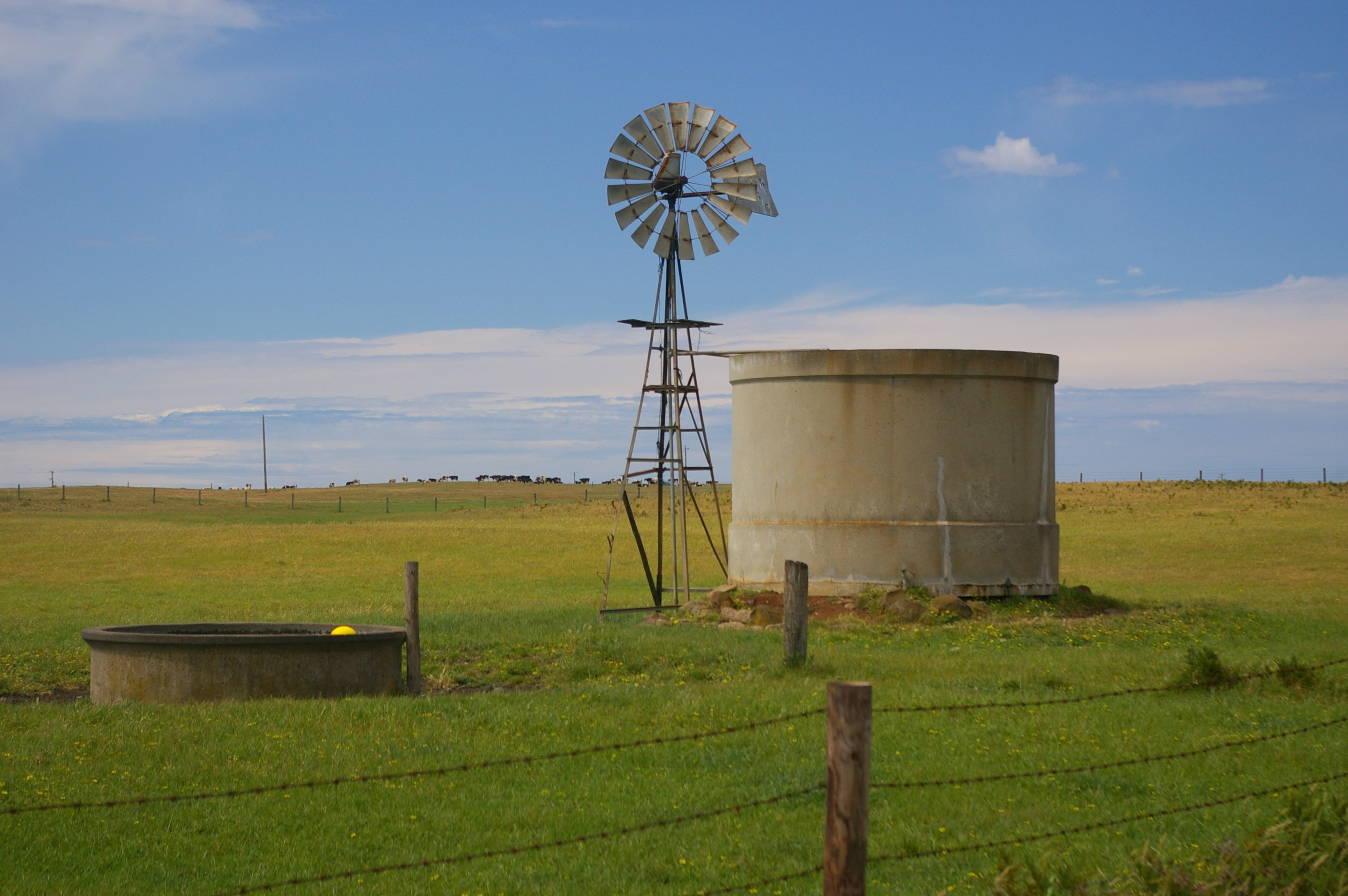 A Complete Guide on Field Erected Tanks (Updated for 2024)