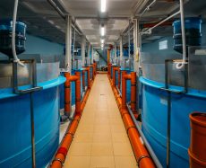 Types of industrial plastic tanks: Choosing the right materials for your needs