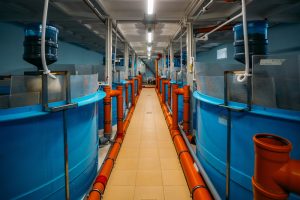 Types of industrial plastic tanks: Choosing the right materials for your needs